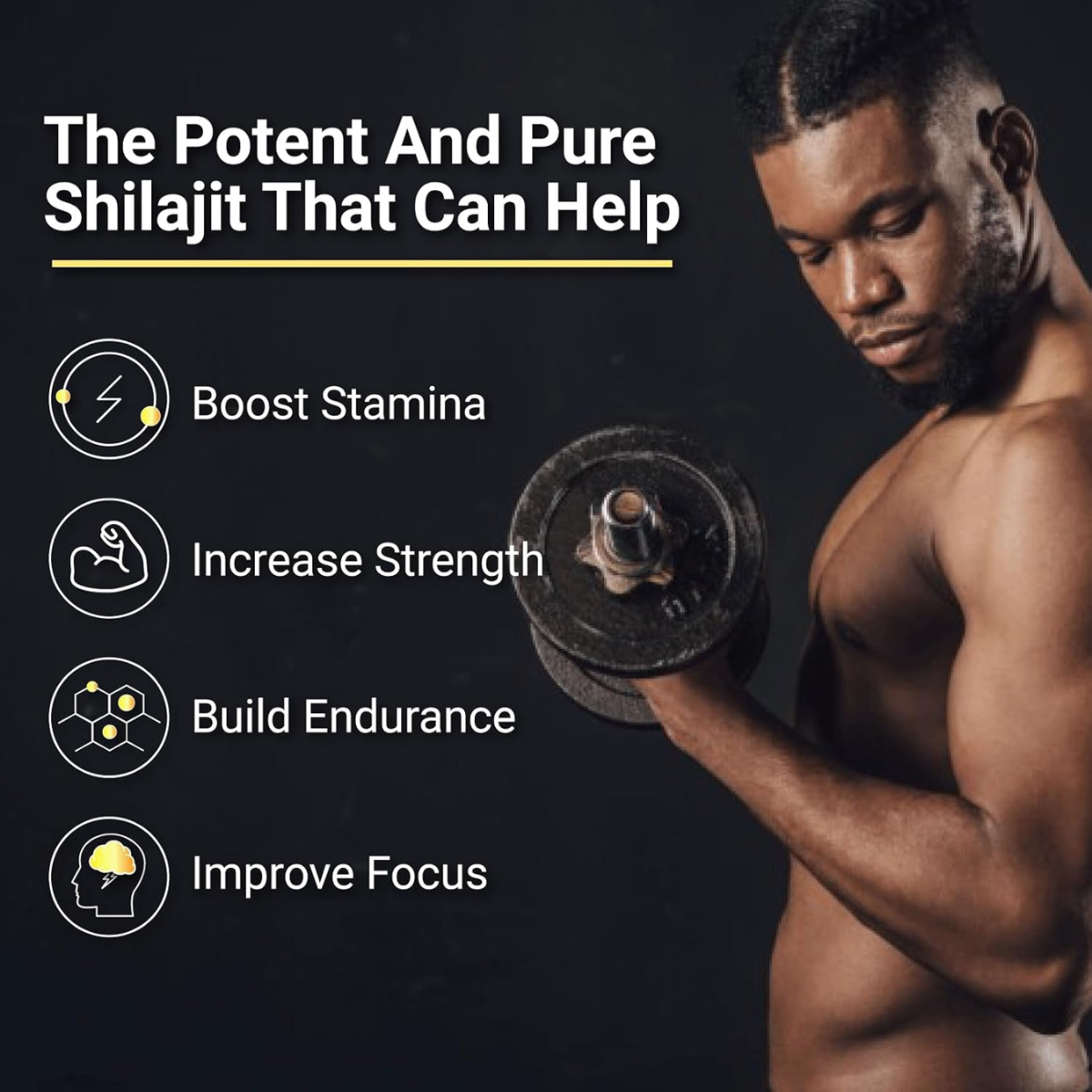 Himalayan Shilajit